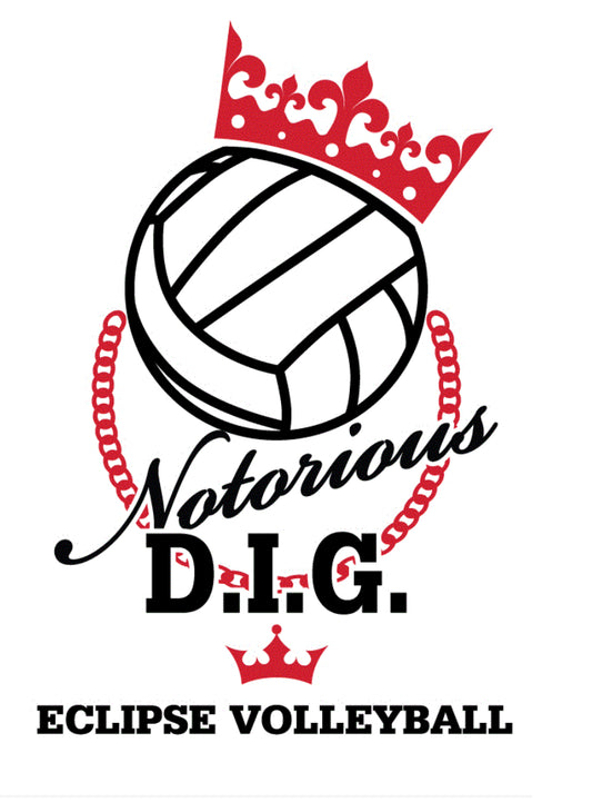 Notorious DIG